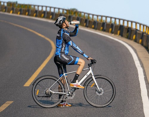 Vélo électrique DYU Stroll 1 250 W Vélo électrique DYU Stroll 1 250 W